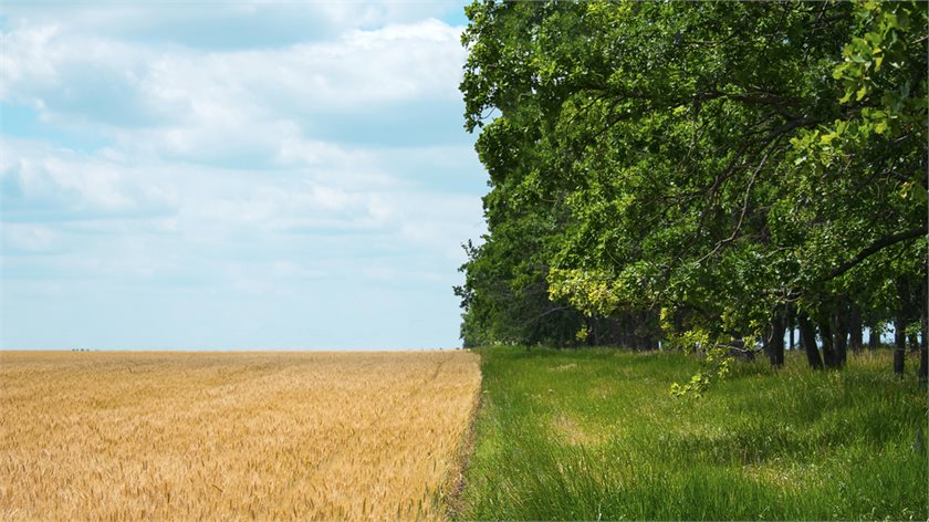 Depositphotos