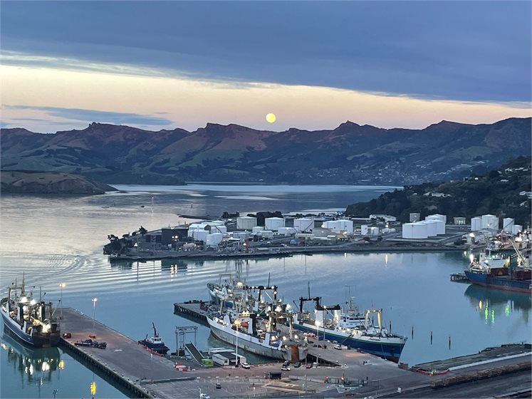 Gas tanks at Te Whakaraupō Lyttelton Harbour