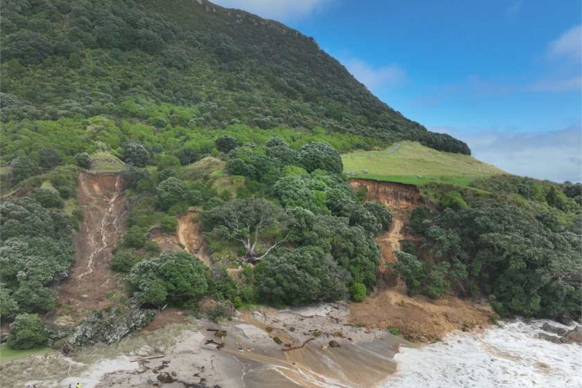 Tauranga City Council/Facebook