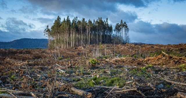 Photo from ACT's alternative budget