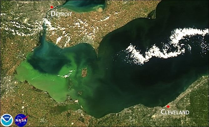 Algae overload ... Lake Erie algal bloom 2011.