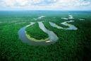 Amazon rain forest