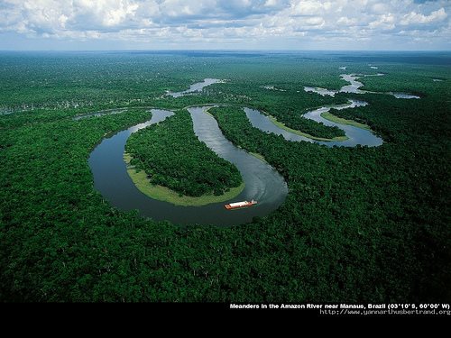 Amazon rain forest .. not at risk from enthanol fuel production 2500km away