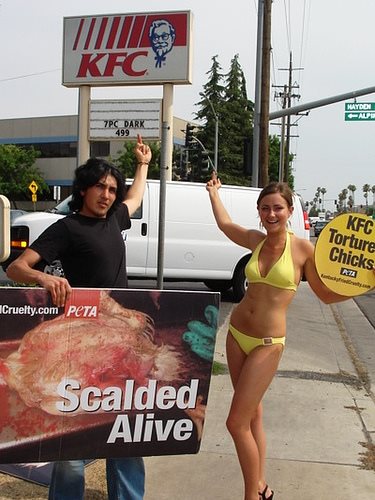 US anti KFC protest ... here "extremists" are resorting to arson, acid and other tactics