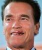 Arnold Schwarzenegger ... no to climate change in schools. Arnold Schwarzenegger ... no to climate change in schools.