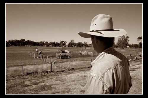 Aussie farmers .. already carbon trading while Kiwi counterparts argue over the science