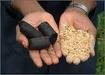 Biochar breakthrough ... nitrous oxide emissions cut by 70 per cent. Biochar breakthrough ... nitrous oxide emissions cut by 70 per cent.