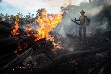 Burning the Amazon forests