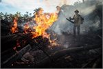 Burning the Amazon forests Burning the Amazon forests
