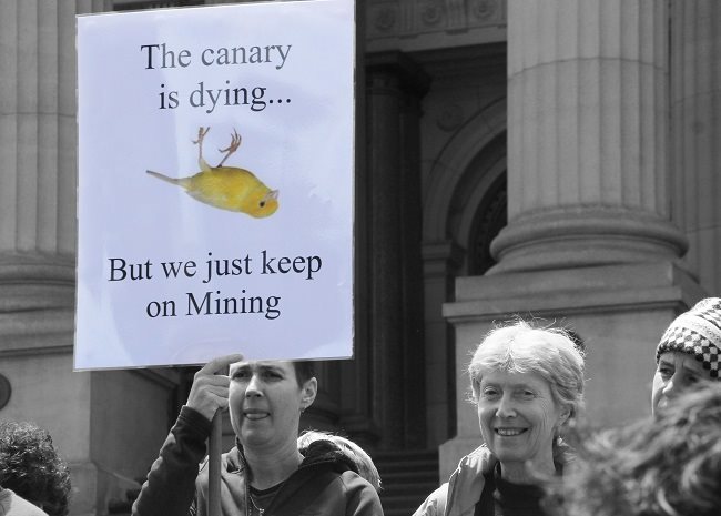 Protests in Melbourne against continued coal mining and export.