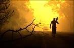 Black Saturday ... climate change is costing the country. Black Saturday ... climate change is costing the country.