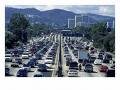 California cars ... going green.