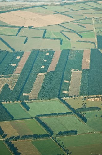 Fish and Bird says let's audit farm eco-performance to match NZ branding
