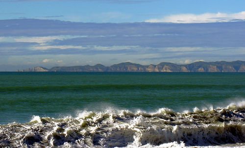 Cape Kidnappers .. money earner a a carbon sink?