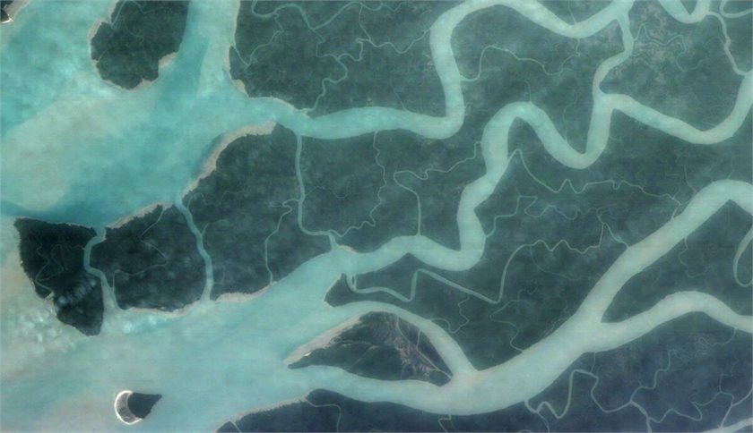 The Sundarbans mangrove forest in south-western Bangladesh, viewed by satellite.