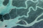 The Sundarbans mangrove forest in south-western Bangladesh, viewed by satellite. The Sundarbans mangrove forest in south-western Bangladesh, viewed by satellite.