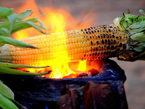 Bio fuel bill backing going up in smoke?