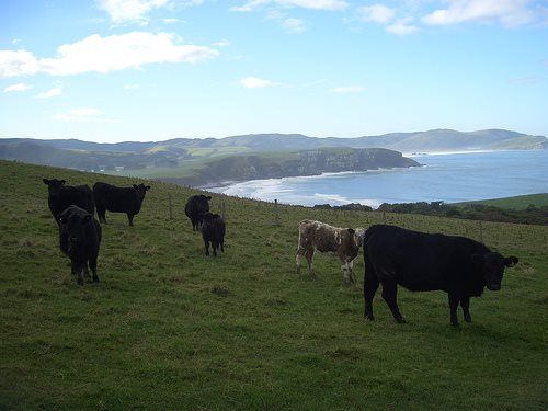 Practical solutions five years off, integrated into farming in 10 years