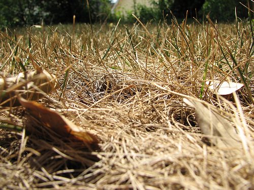 Droughts will be more extreme than the worse so-far recorded