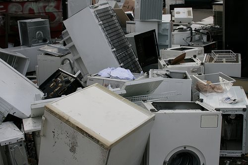 Some fridges have seen better days... the Green MPs' one are now off