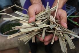 Dried elephant grass ... good fuel