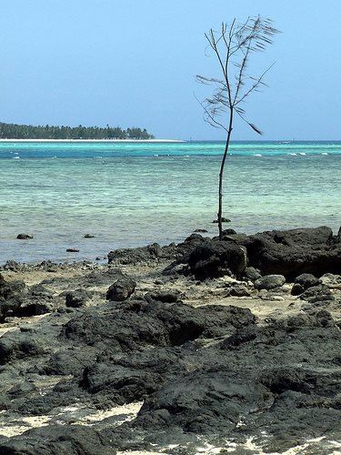 Fiji .. tourist paradise to carbon sink