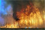 An experimental forest fire in Canada, where fire suppression costs are mounting An experimental forest fire in Canada, where fire suppression costs are mounting