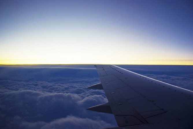 What if jet fuel could be grown sustainably?