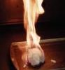 Gas hydrates are a source of alternative energy. Gas hydrates are a source of alternative energy.