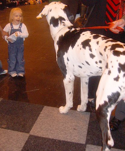 ACT: Beware the great dane puppy - climate change