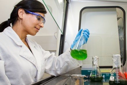Dr Kastoori Hingorani in her lab at the Australian National University.