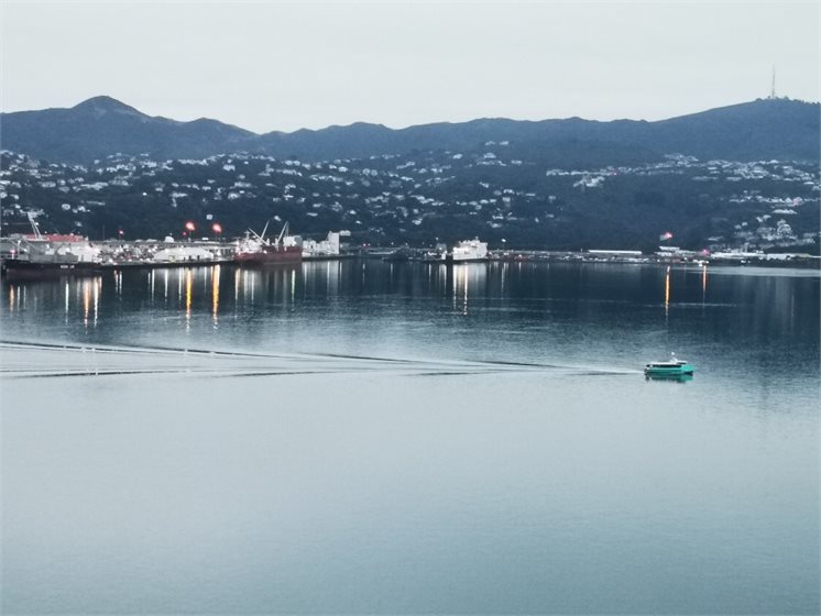 Wellington's electric ferry Ika Rere on the morning the first emissions reduction plan is revealed.