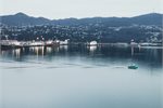 Wellington's electric ferry Ika Rere on the morning the first emissions reduction plan is revealed. Wellington's electric ferry Ika Rere on the morning the first emissions reduction plan is revealed.