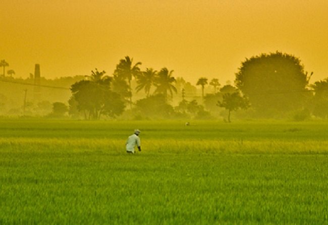 Sunrise on another baking hot day in southern India, where temperatures have reached 47° this year.