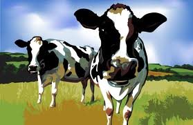 NZ farming ... we're doing our bit, says PM.