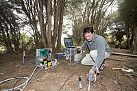 Vital new tool in forest emissions measurement has potentially major role in climate change predictions