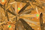 Busy bodies ... energy-harvesting microbes at work. Busy bodies ... energy-harvesting microbes at work.