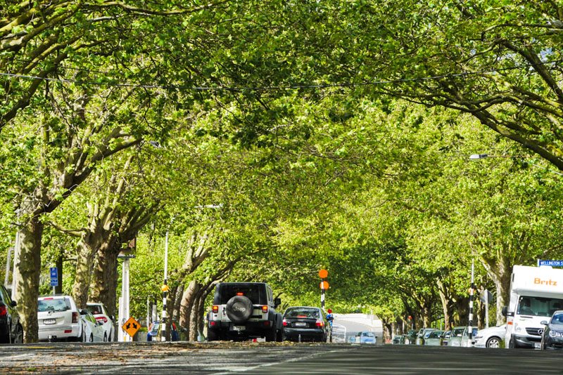 Franklin Road, Auckland
