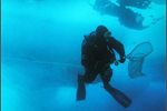 Juergen Kolb diving for marine leeches Juergen Kolb diving for marine leeches
