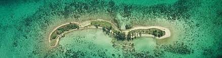 Mesoamerican Reef