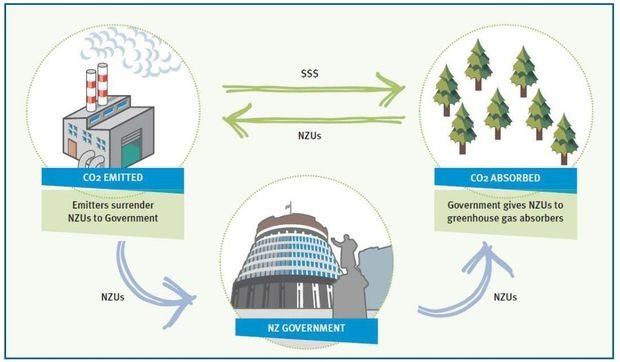 he basic concept of New Zealand's ETS - as explained by the Ministry for the Environment