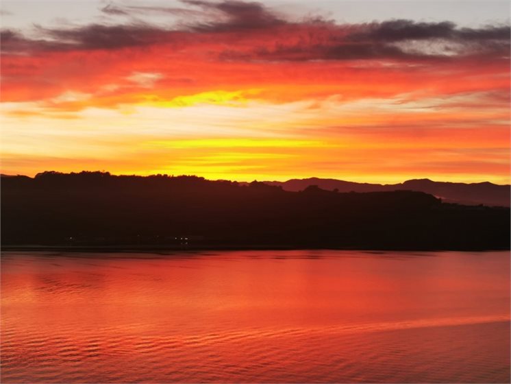 Apropros of nothing: Dawn in Whanganui-a-tara this morning