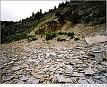 Oil shale field ... substantial deposits near Queenstown. Oil shale field ... substantial deposits near Queenstown.