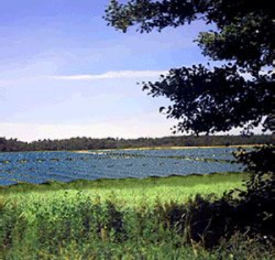 An OptiSolar farm ... now seeking approval for the world's biggest at 16sq km