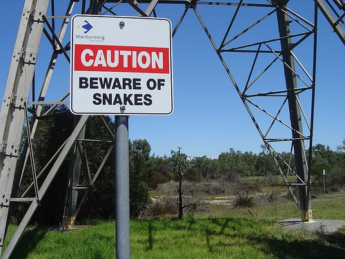 Vested interest snakes yet to appear on Australia's ETS