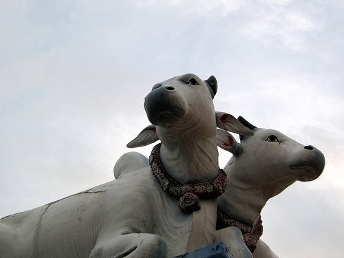 Sacred cow deal done with agriculture say Greens