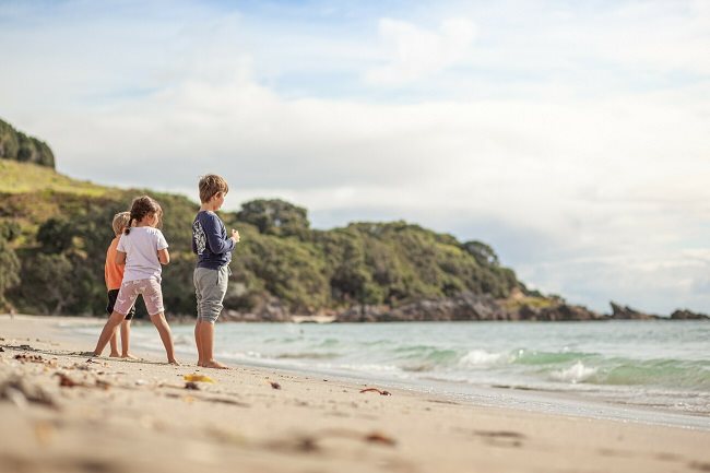 The cover pic on the Sustainable Business Council and Climate Leaders Coalition joint submission