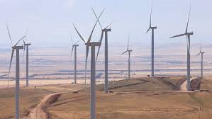 Big wind ... Snowtown wind farm in South Australia.