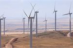 Big wind ... Snowtown wind farm in South Australia. Big wind ... Snowtown wind farm in South Australia.