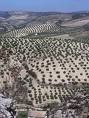 Dry spot ... arid areas a problem for Spain.
